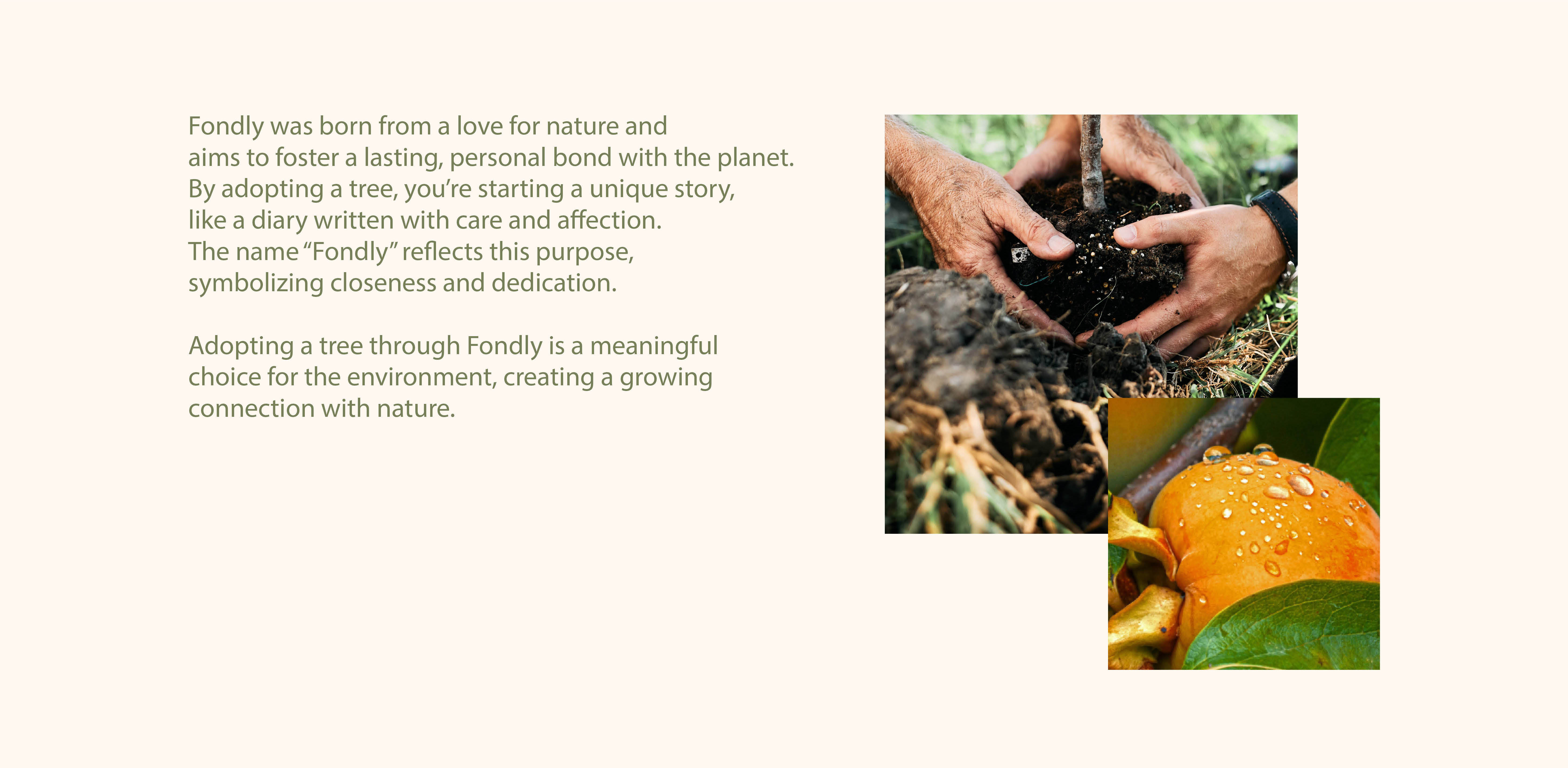 Fondly story section with nature text and visuals