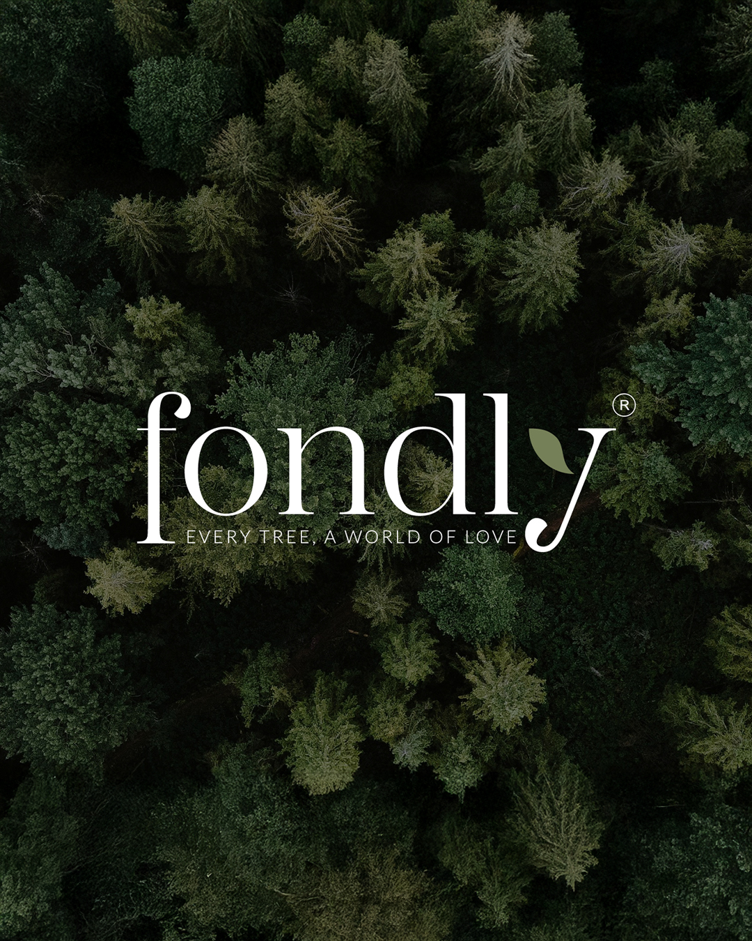 Fondly project cover